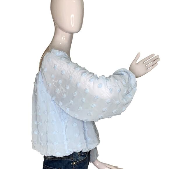 Audrey Parks+Francesca's NWT Blouse Sheer Long Sleeve Light Blue Pullover Size S - Picture 4 of 12